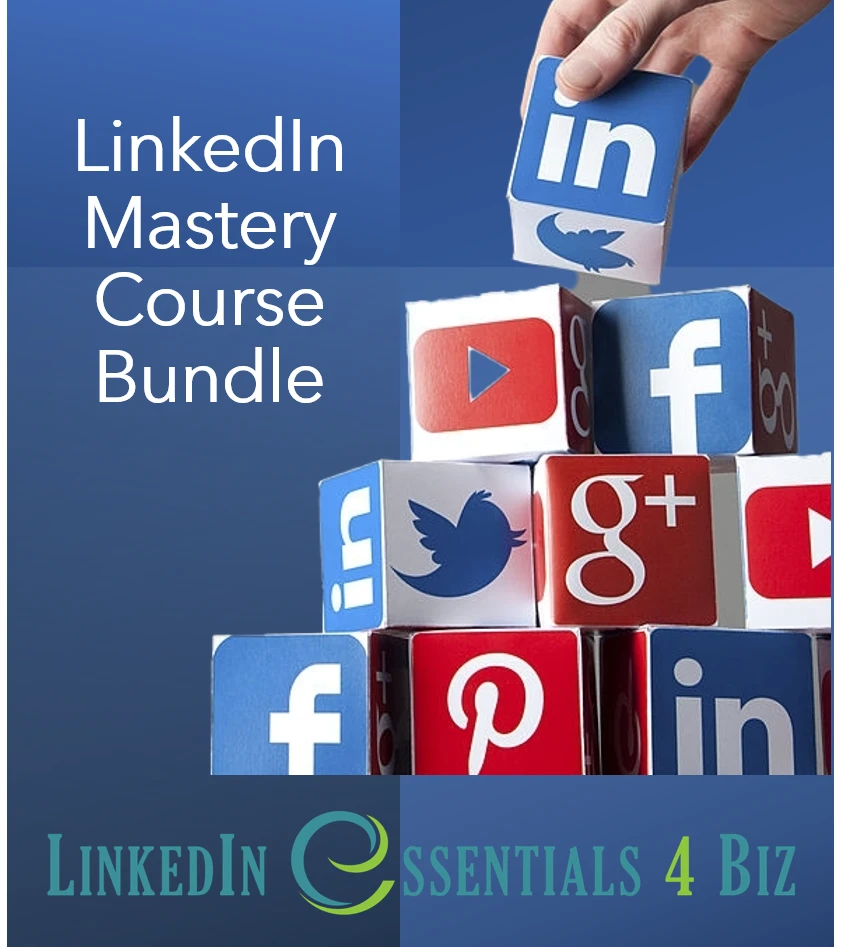 0118419473695-course-bundle-image-li-mastery-17116337480336.png